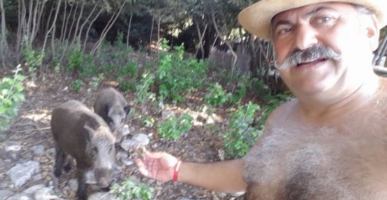 Ünlü oyuncu tatilde yaban domuzlarını besledi